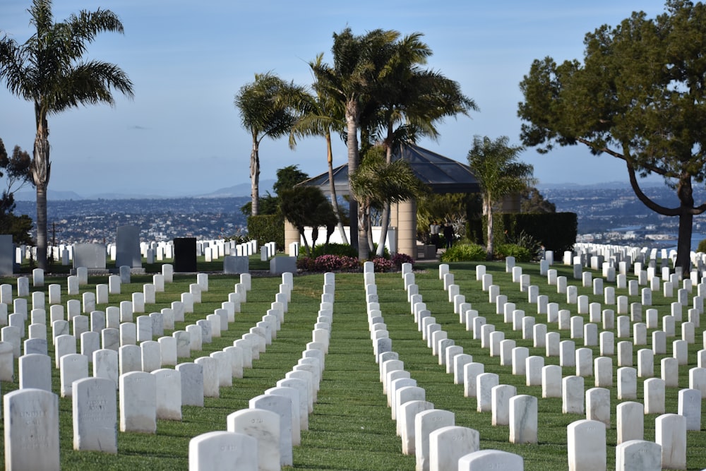 a cemetery with rows of headstones and palm trees