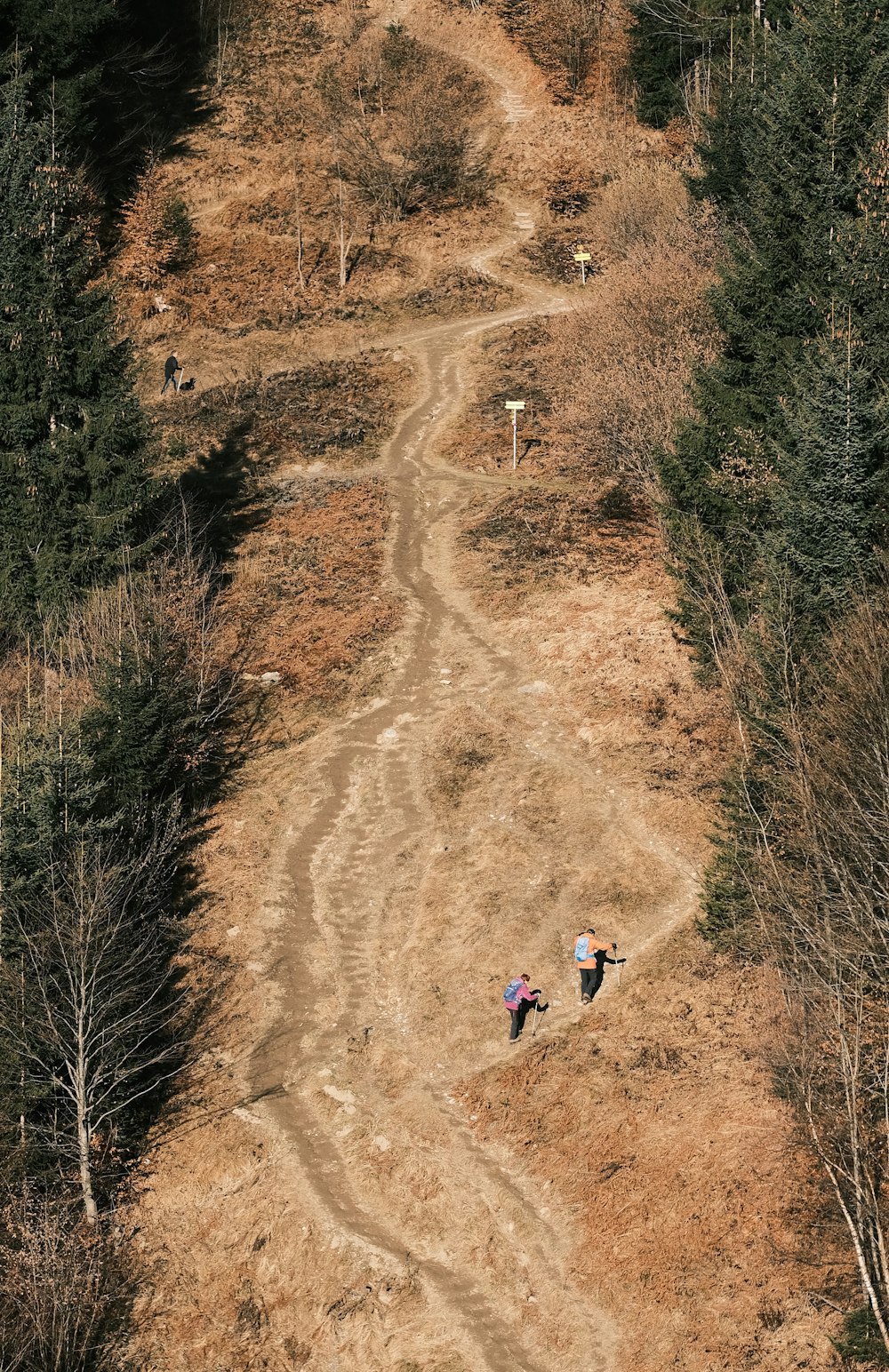 a couple of people riding down a dirt road