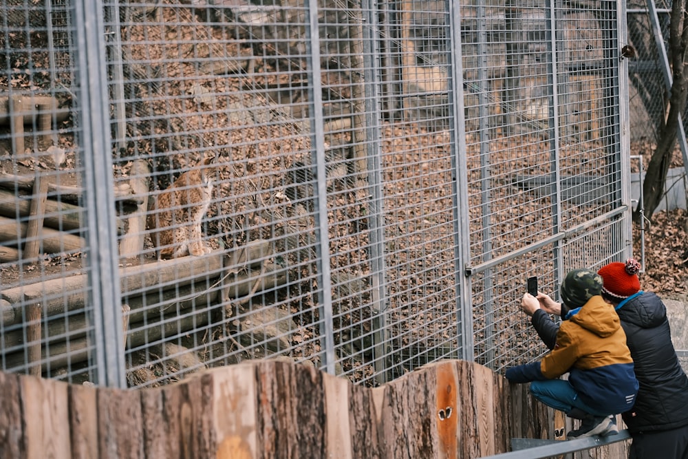 a man taking a picture of a lion behind a fence