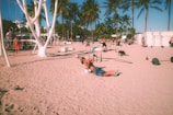 People are exercising on a sandy beach with a variety of gym equipment. Palm trees line the background, and the atmosphere suggests a warm, sunny day. Individuals are engaged in different workouts, including weightlifting and calisthenics.