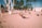 People are exercising on a sandy beach with a variety of gym equipment. Palm trees line the background, and the atmosphere suggests a warm, sunny day. Individuals are engaged in different workouts, including weightlifting and calisthenics.