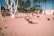 People are exercising on a sandy beach with a variety of gym equipment. Palm trees line the background, and the atmosphere suggests a warm, sunny day. Individuals are engaged in different workouts, including weightlifting and calisthenics.