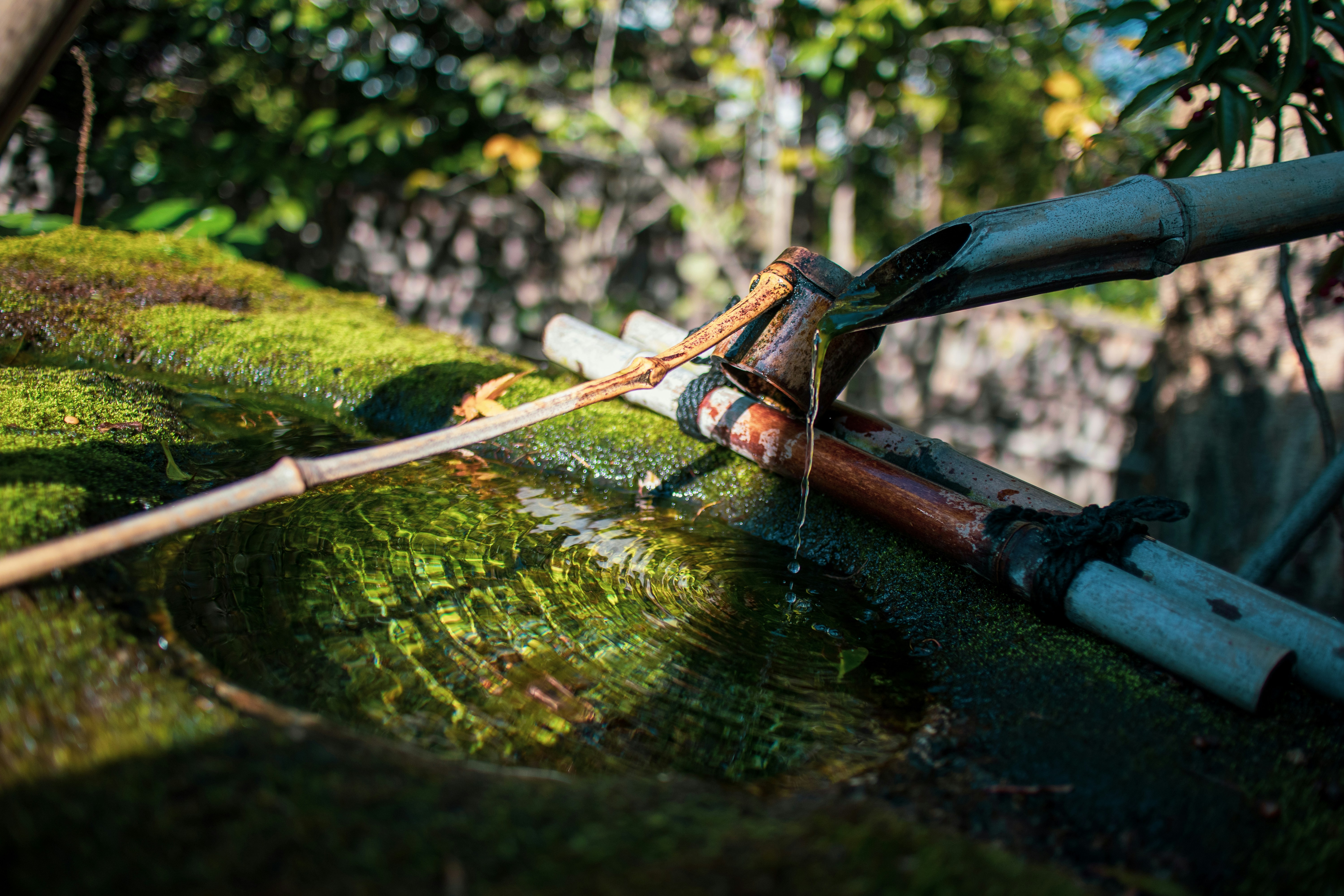 7 Common Mistakes in Aquascaping Setup for New Hobbyists