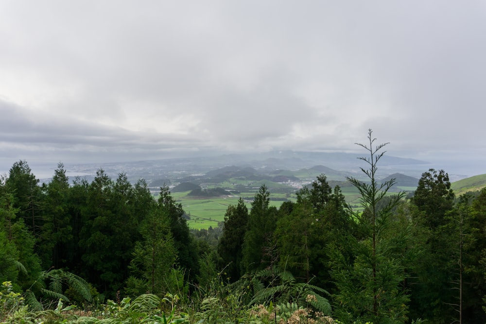 a view of a lush green forest on a cloudy day