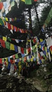 Colorful prayer flags are strung between tall, dense trees, fluttering in the forest setting. Piles of stones are stacked on rocks, some of which have carvings or symbols. The forest is lush and the flags are vibrant against the natural backdrop.