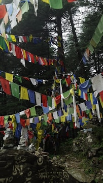 Colorful prayer flags are strung between tall, dense trees, fluttering in the forest setting. Piles of stones are stacked on rocks, some of which have carvings or symbols. The forest is lush and the flags are vibrant against the natural backdrop.