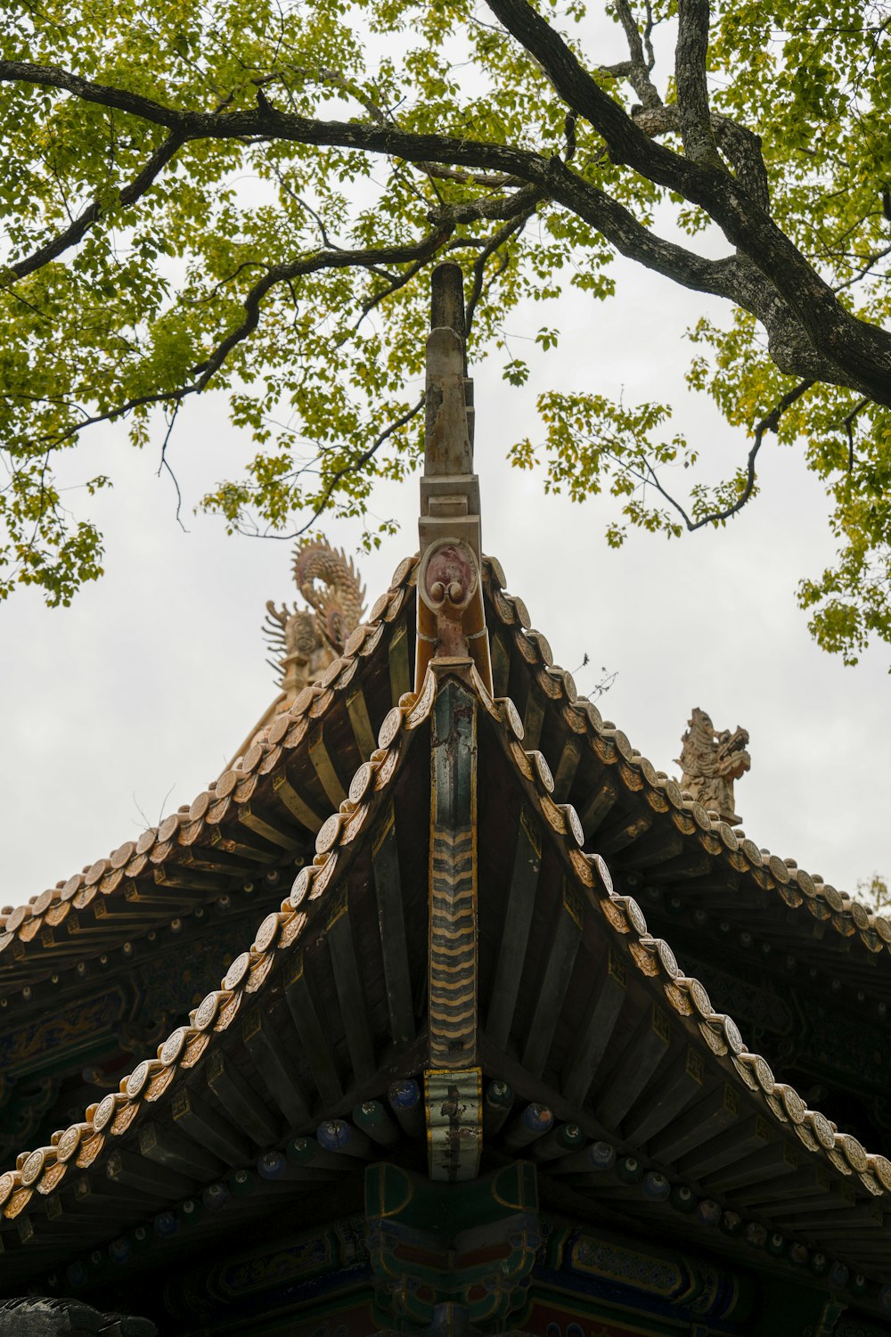 the roof of a building with a tree in the background