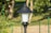 A black outdoor lamp post with a white glass shade stands prominently in a garden setting. Surrounding it are green plants and a blurred background that includes a fence and trees.