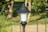 A black outdoor lamp post with a white glass shade stands prominently in a garden setting. Surrounding it are green plants and a blurred background that includes a fence and trees.