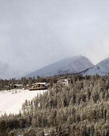A snowy landscape with a dense forest of pine trees covering the hills. Several wooden cabins are nestled among the trees, suggesting a winter retreat or mountain lodge setting. The background features a large, snow-covered mountain partially obscured by clouds, creating a serene and remote atmosphere.