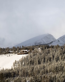 A snowy landscape with a dense forest of pine trees covering the hills. Several wooden cabins are nestled among the trees, suggesting a winter retreat or mountain lodge setting. The background features a large, snow-covered mountain partially obscured by clouds, creating a serene and remote atmosphere.