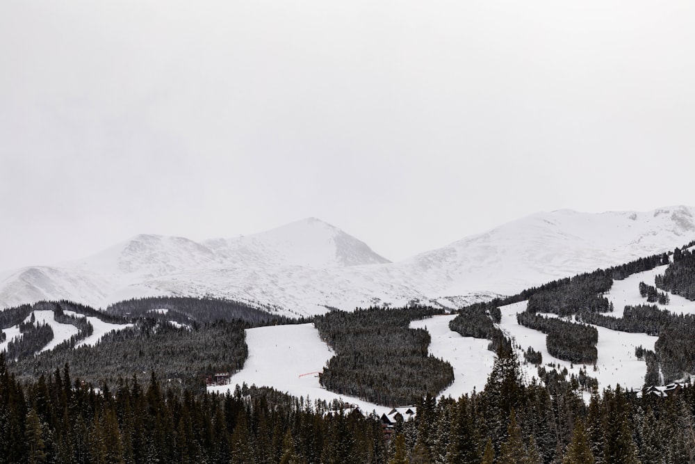 a snow covered mountain with trees and a ski slope