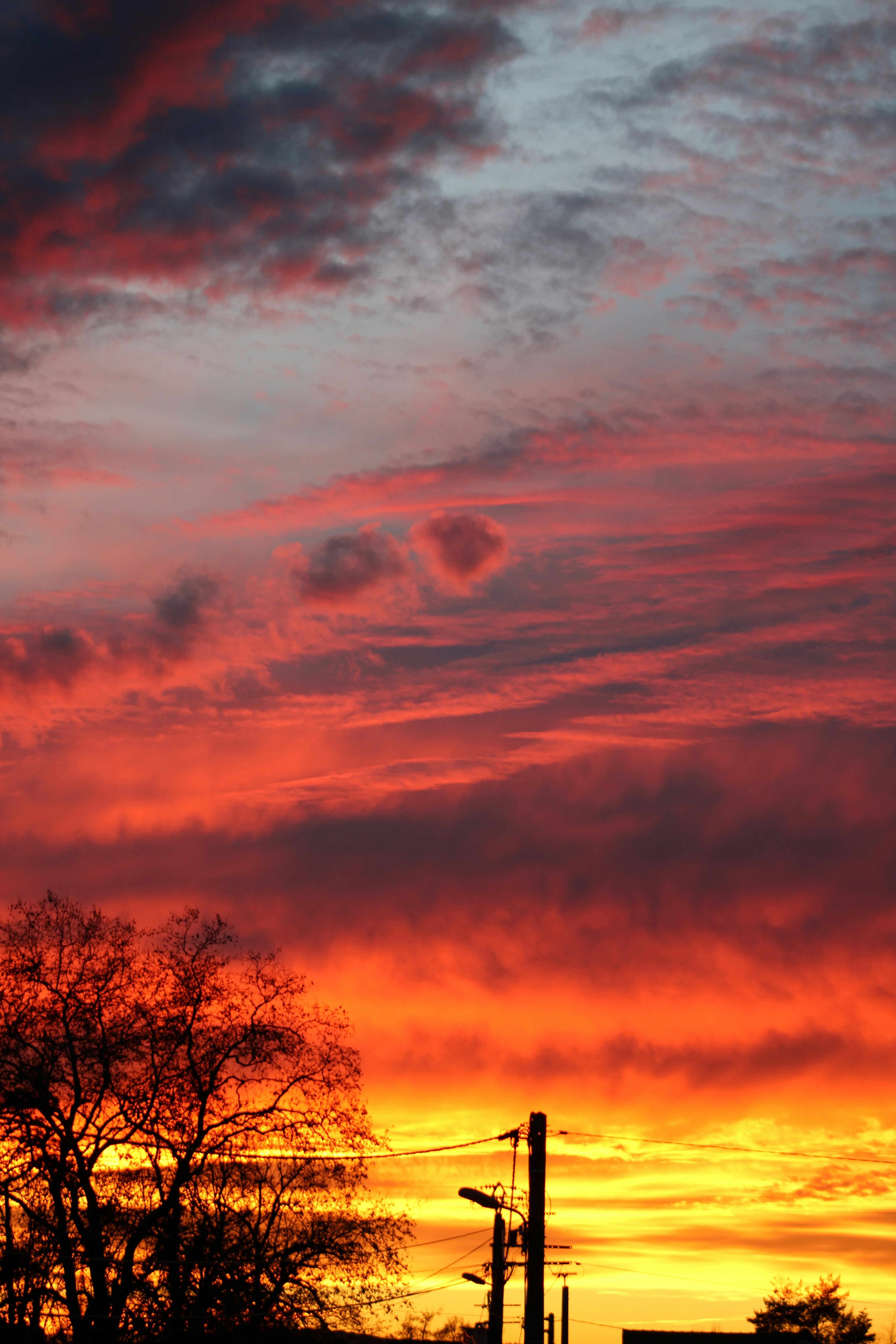 Photo by lucasarroyo