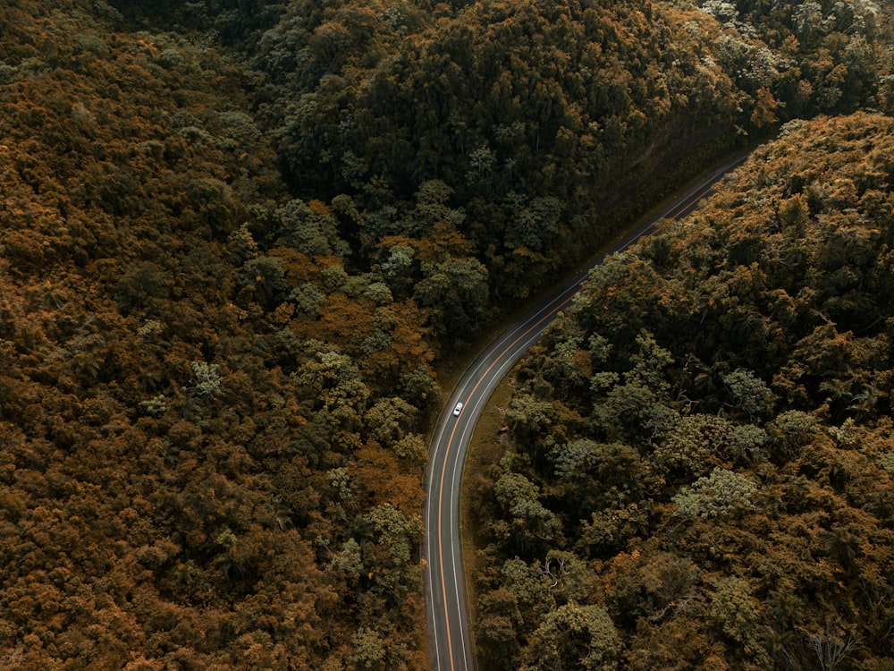 an aerial view of a road surrounded by trees