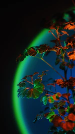A glowing emerald and teal bioluminescent plant intertwining with sleek holographic lines against a deep cosmic black background.