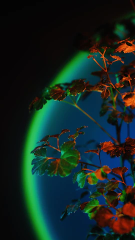 A glowing emerald and teal bioluminescent plant intertwining with sleek holographic lines against a deep cosmic black background.