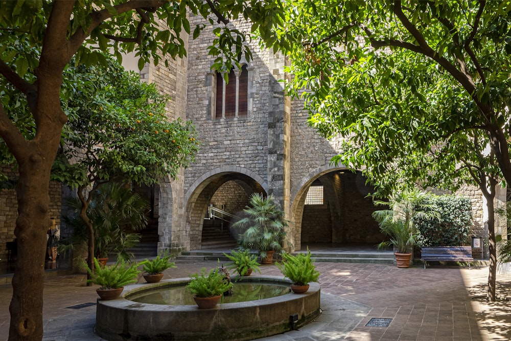 a courtyard with a fountain surrounded by trees