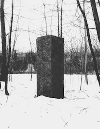 A towering obsidian-like black monolith standing cold and silent against a deep charcoal background.