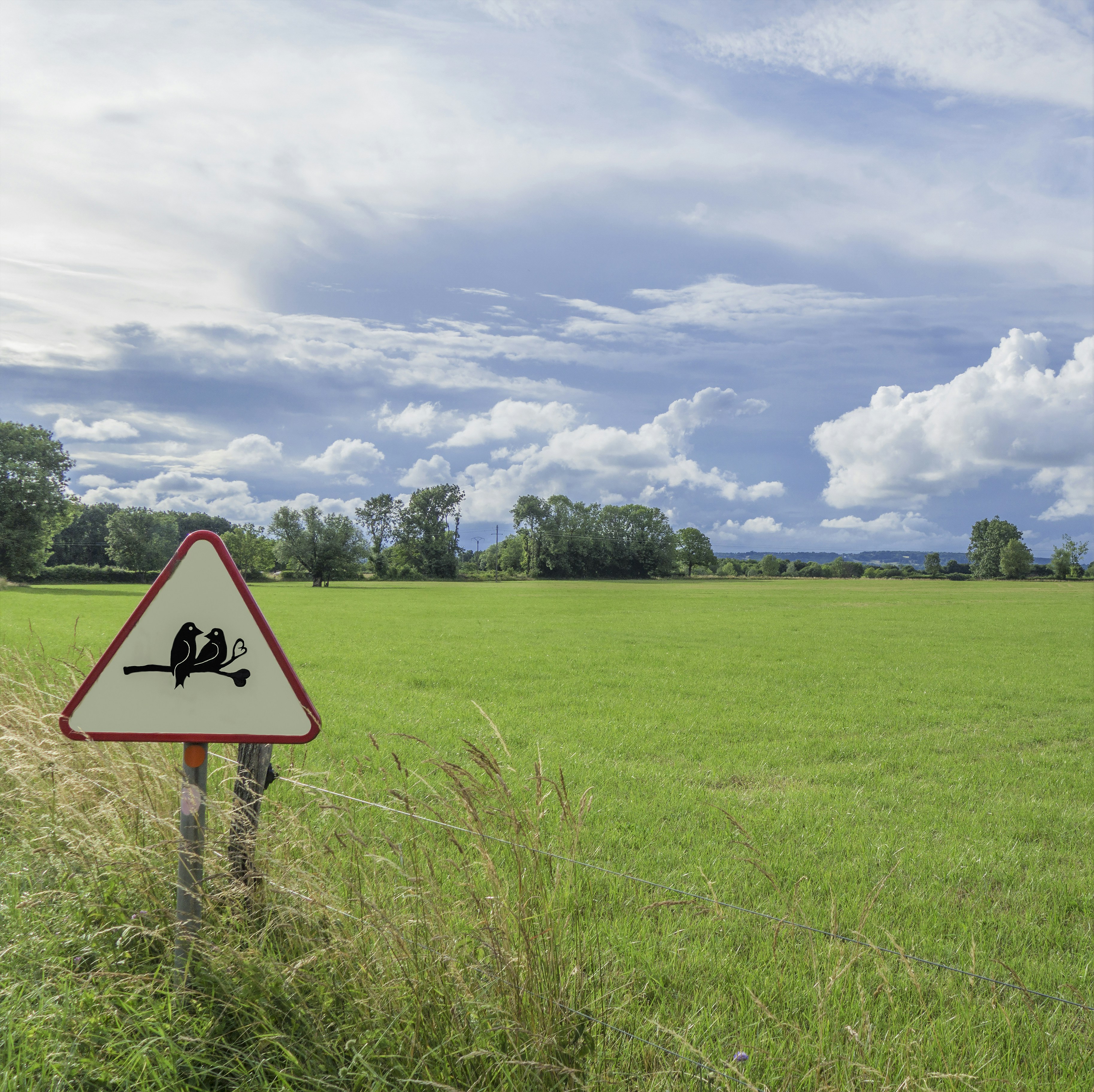 a sign in the middle of a grassy field
