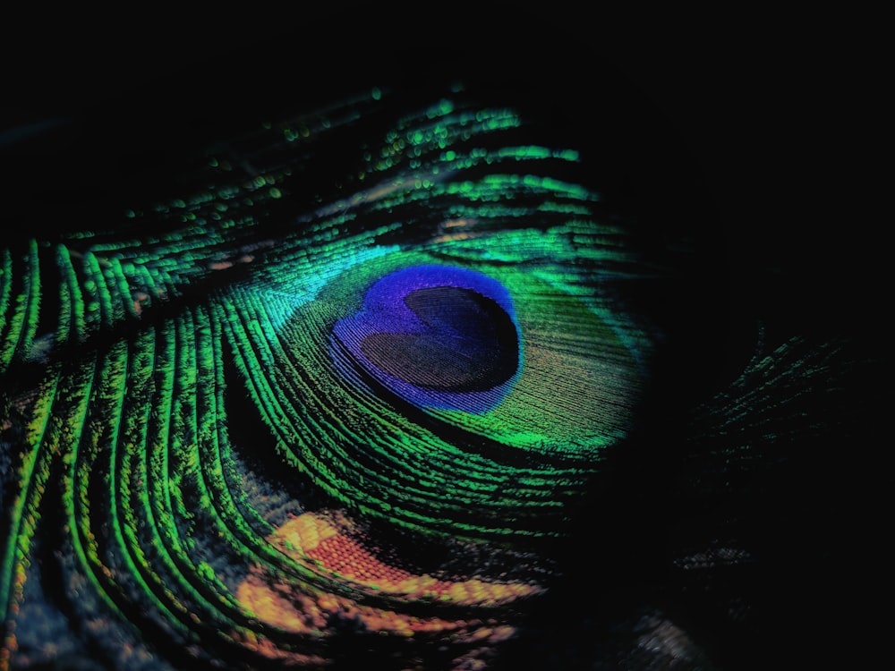 a close up of a peacock's feathers feathers