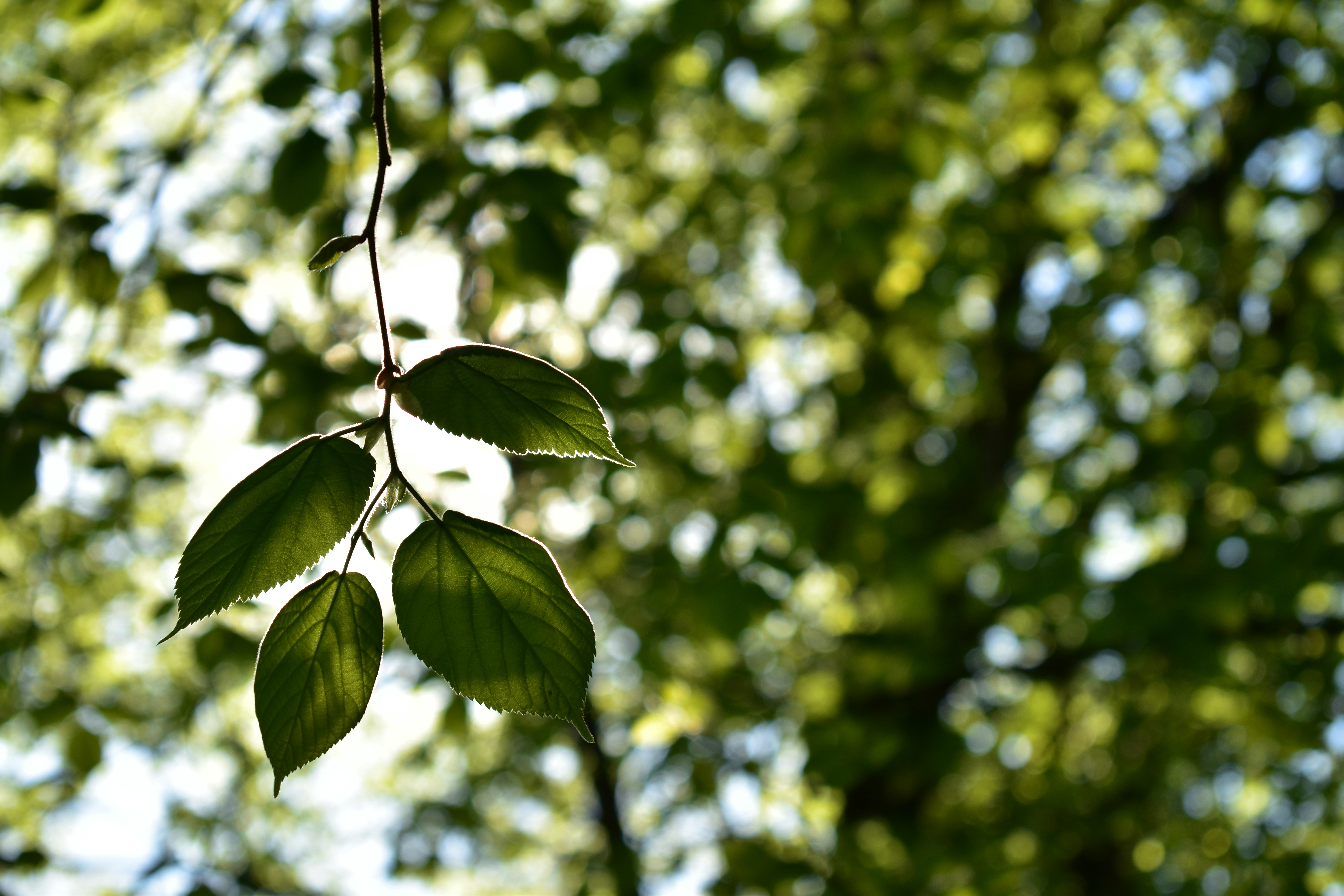 Photo by jessica_kmr