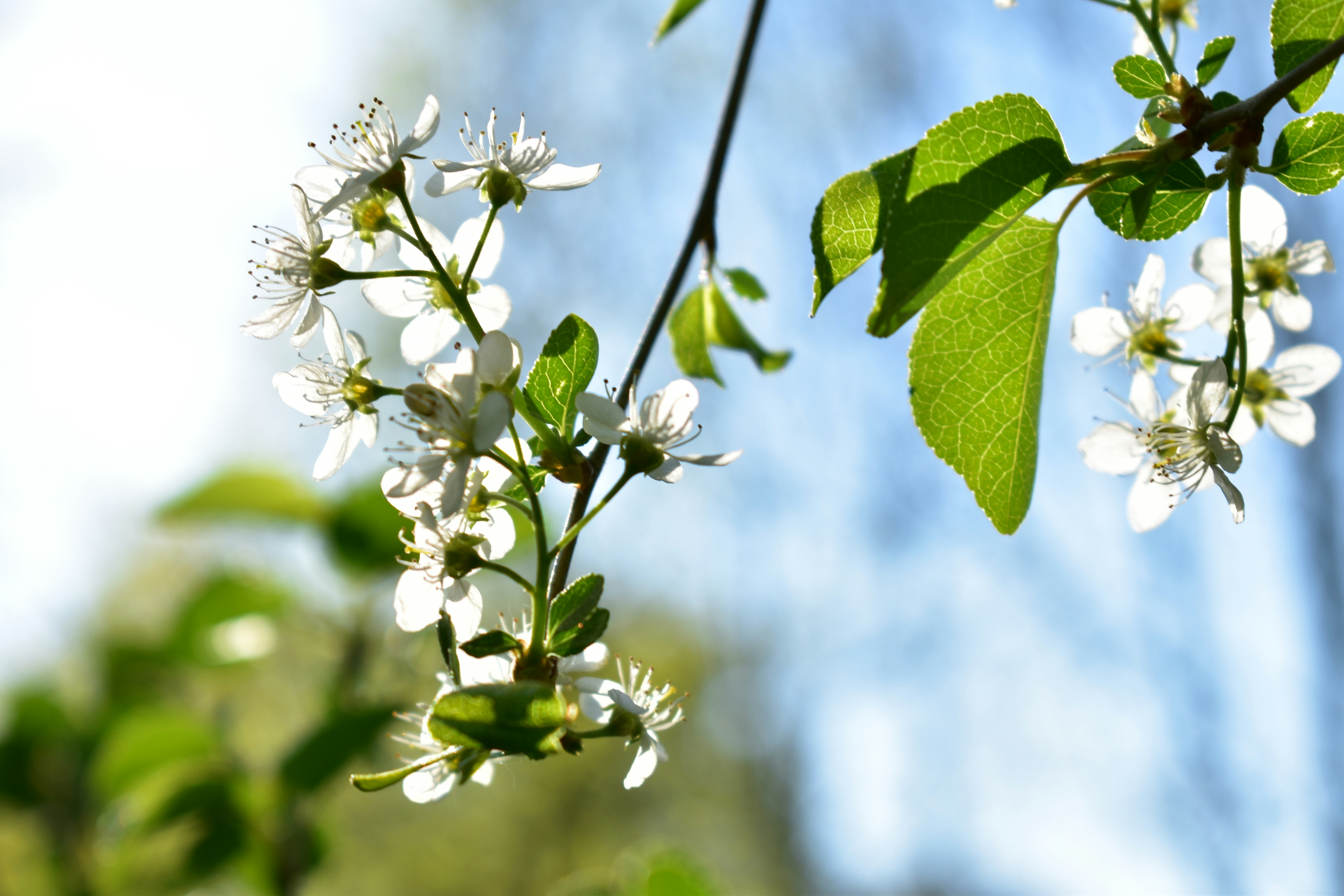 Photo by jessica_kmr