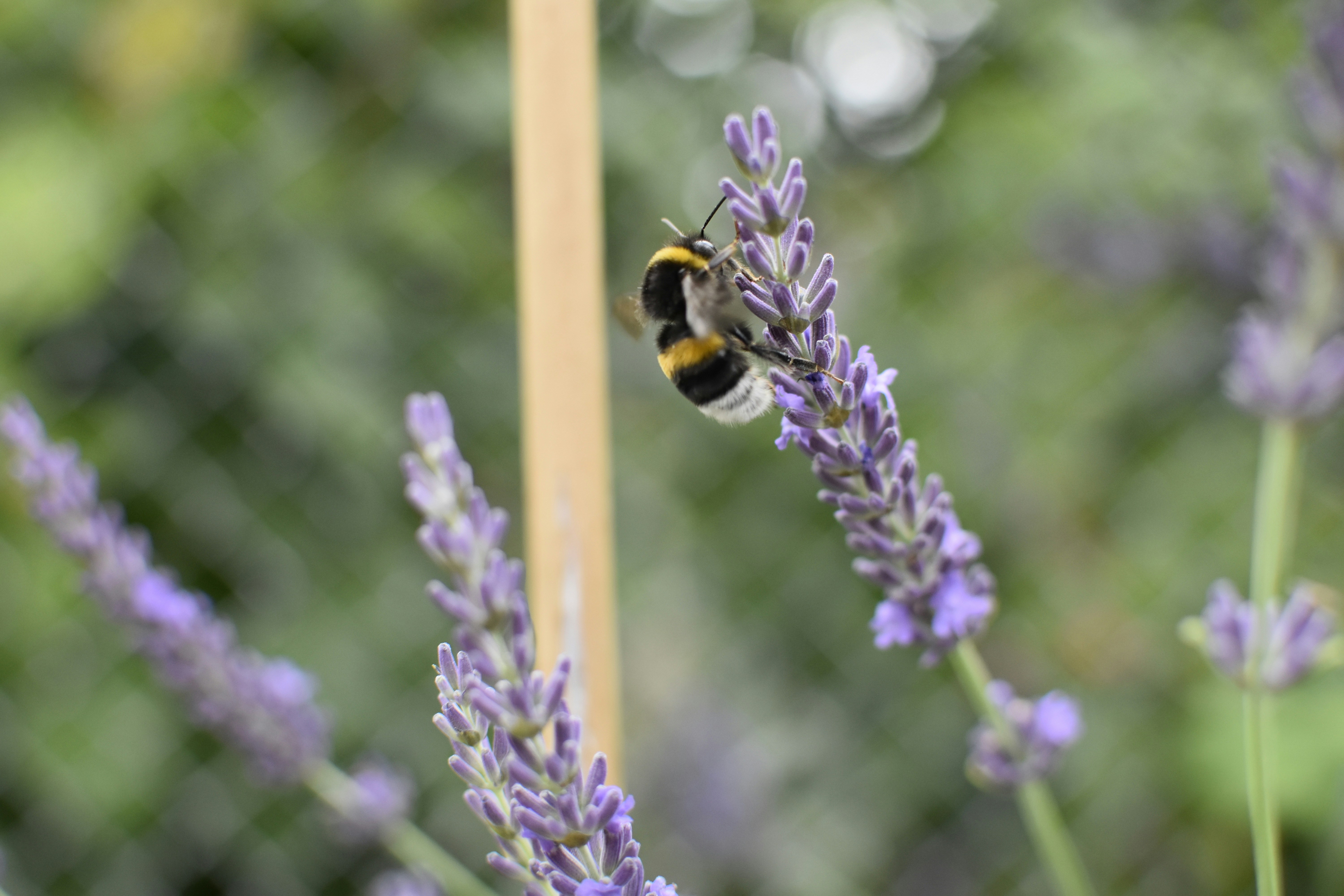 Photo by jessica_kmr