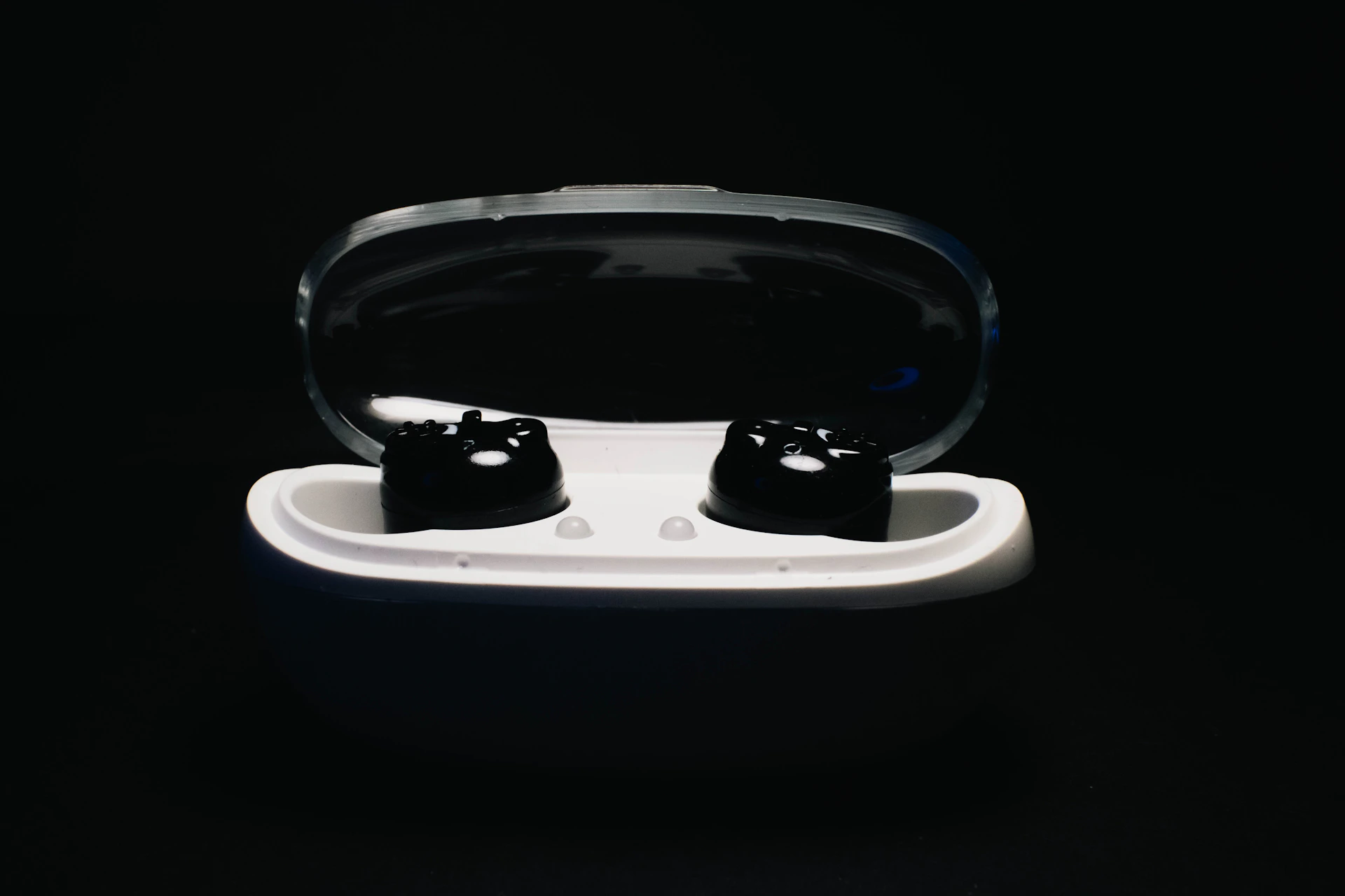 a pair of black cat ears sitting inside of a case