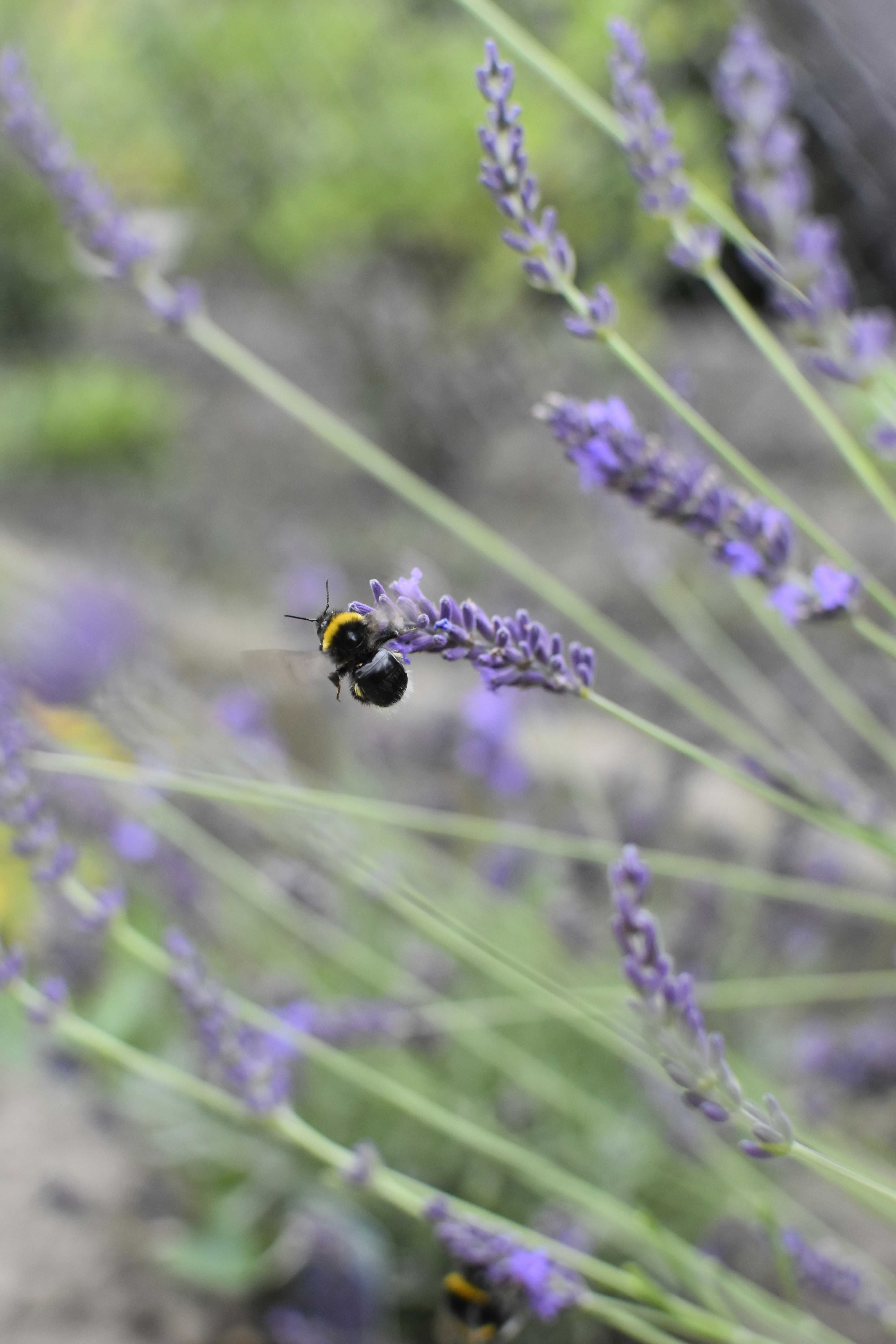 Photo by jessica_kmr