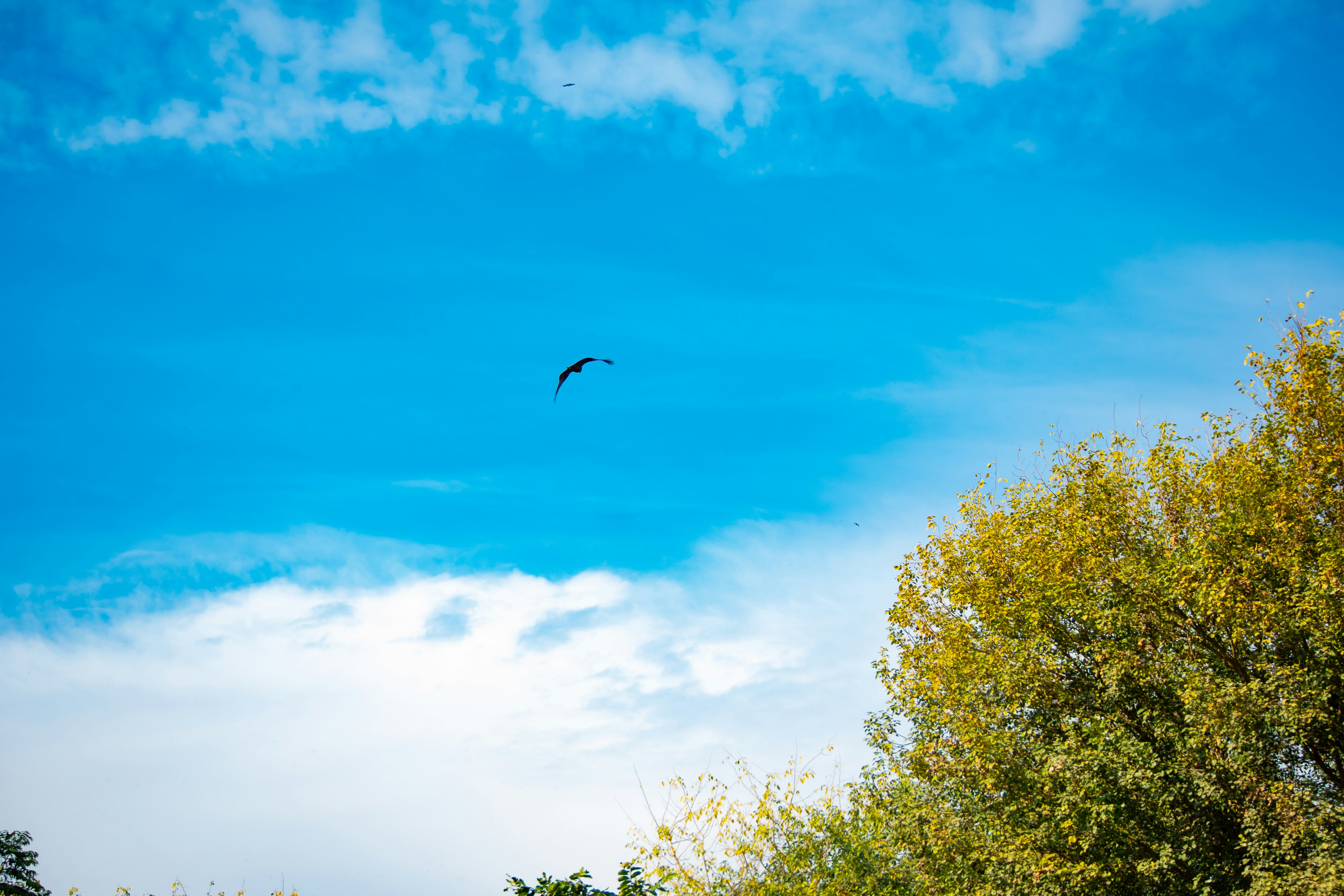 Photo by salmanhaider47