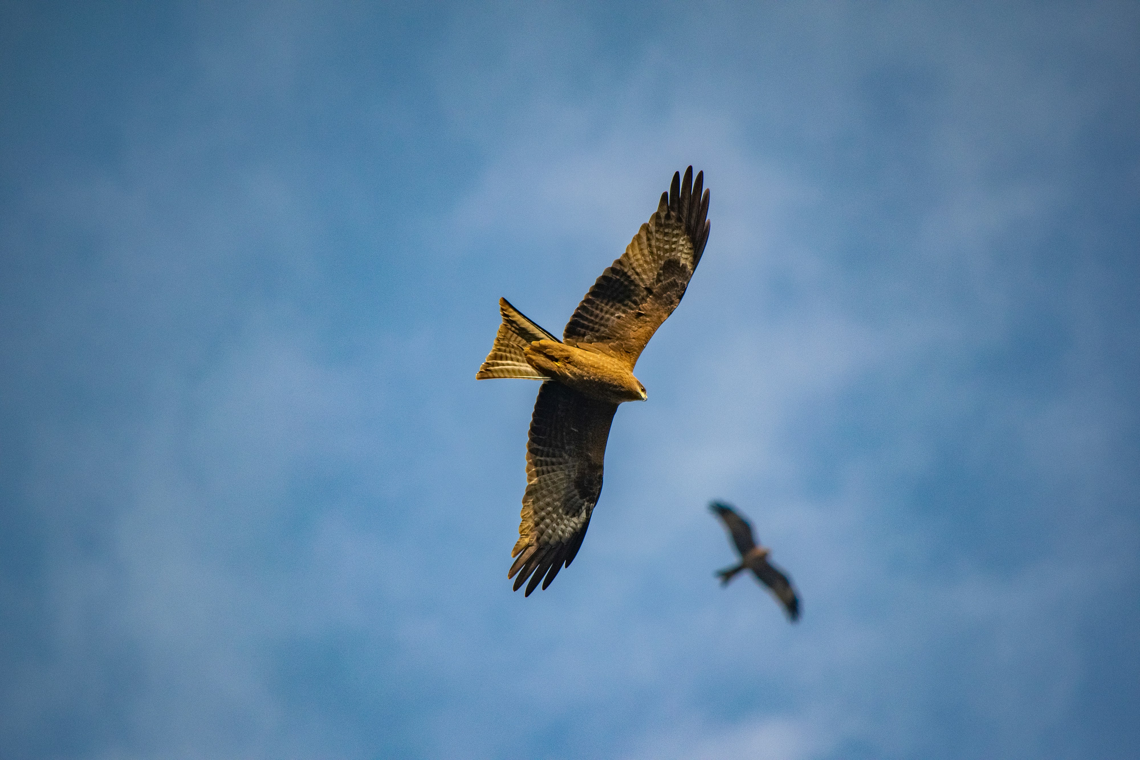 Photo by salmanhaider47