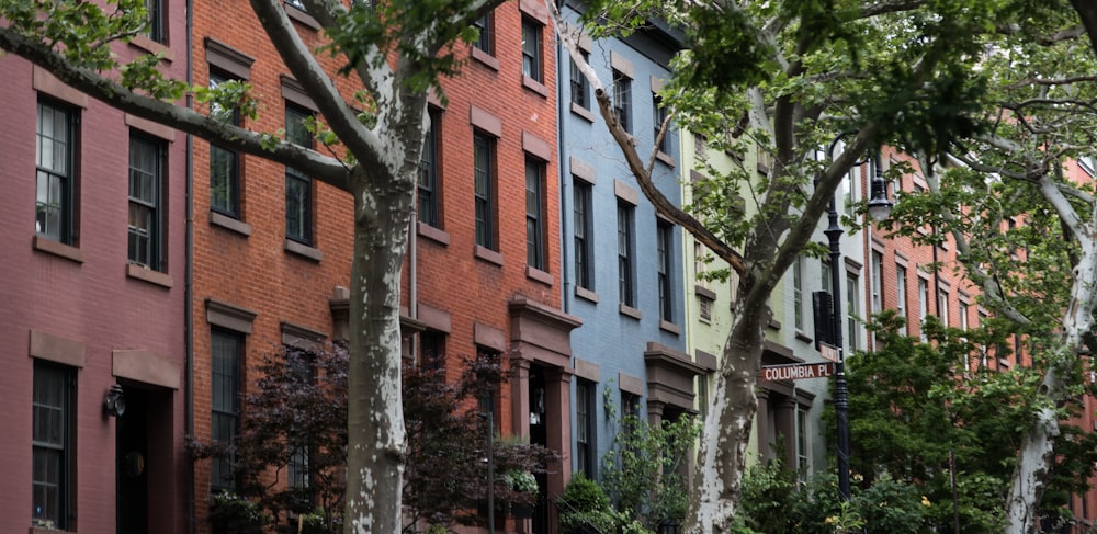 a row of brick buildings with trees in the foreground