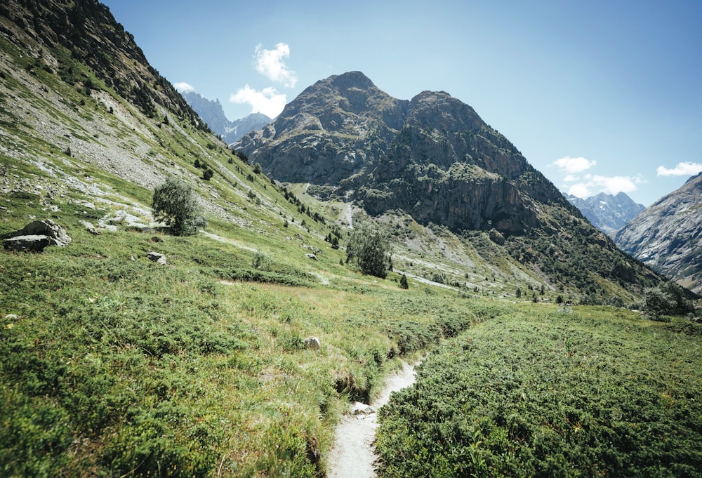 a stream running through a lush green valley