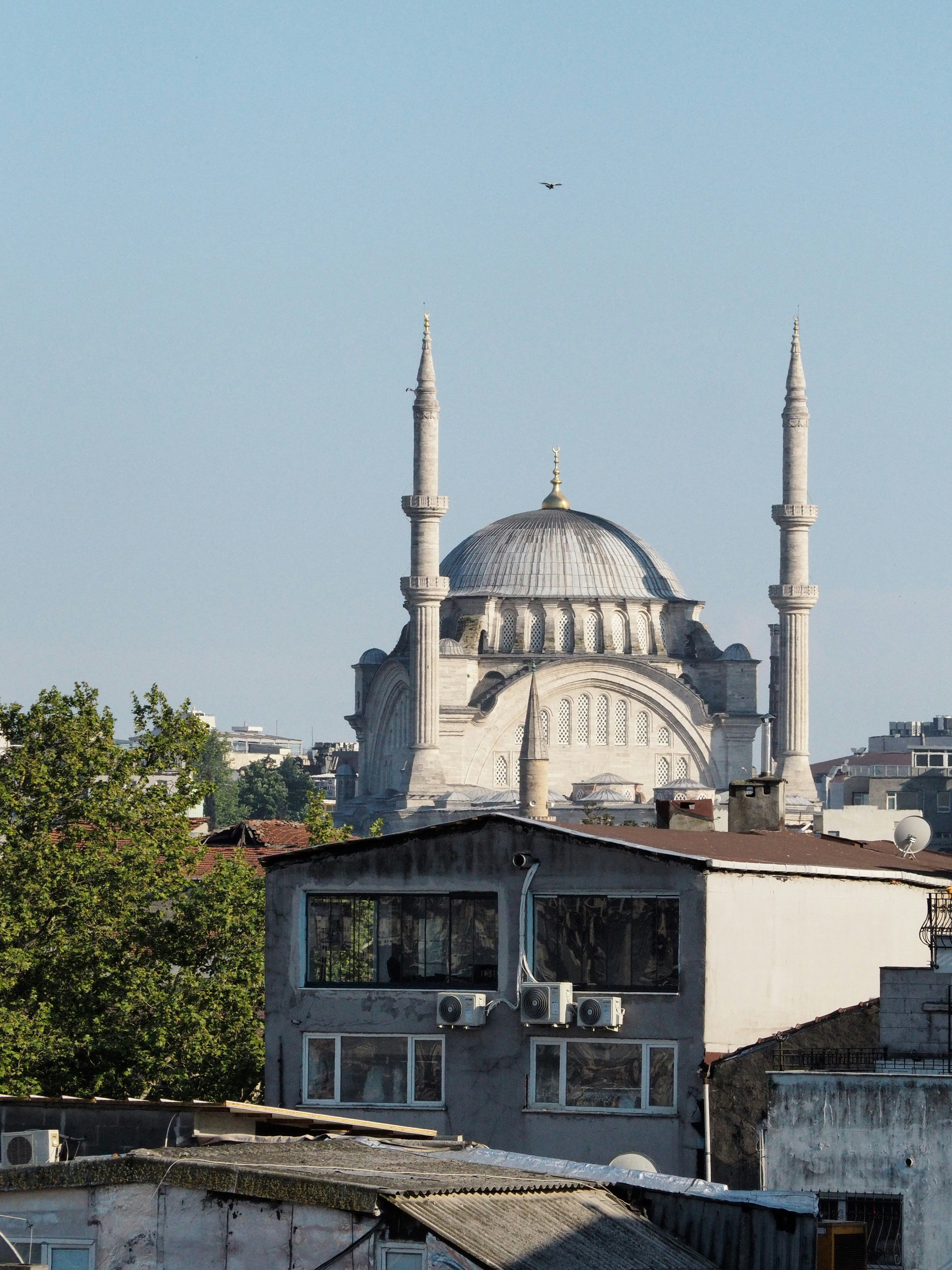 Photo by behnazyosofi