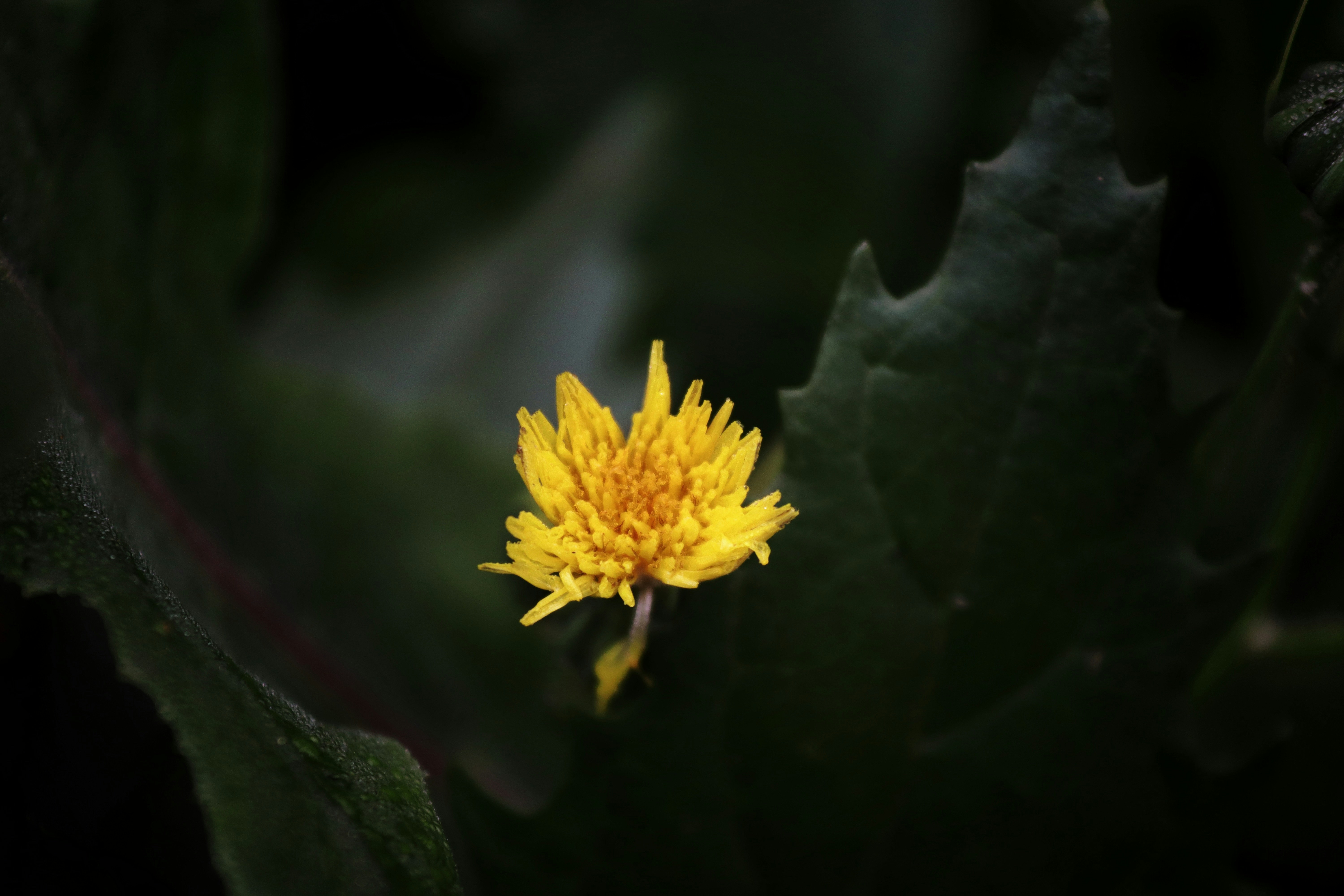 Photo by drphotographer152