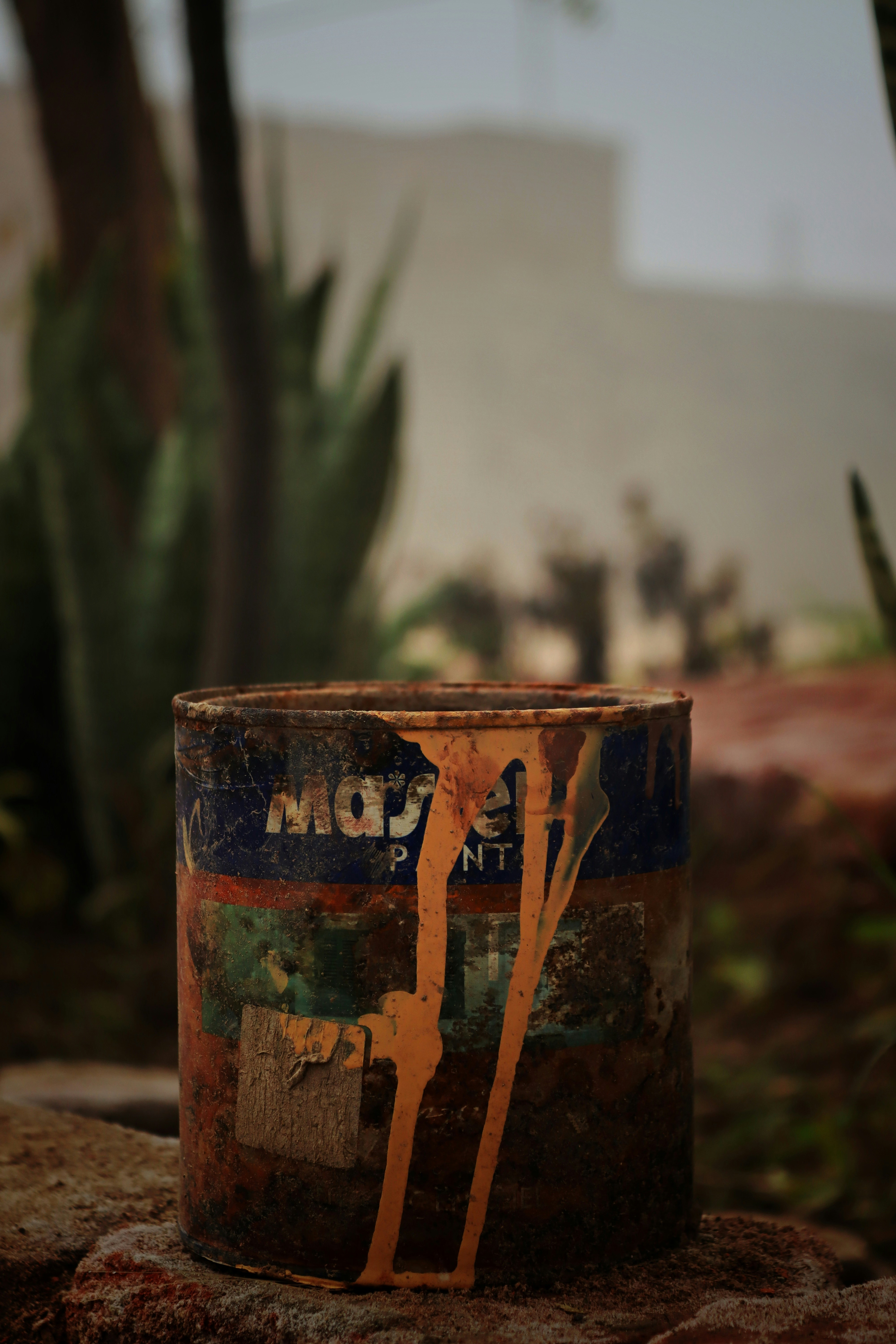 DIY Miniature Plant Pots - Compact Cylindrical Succulent