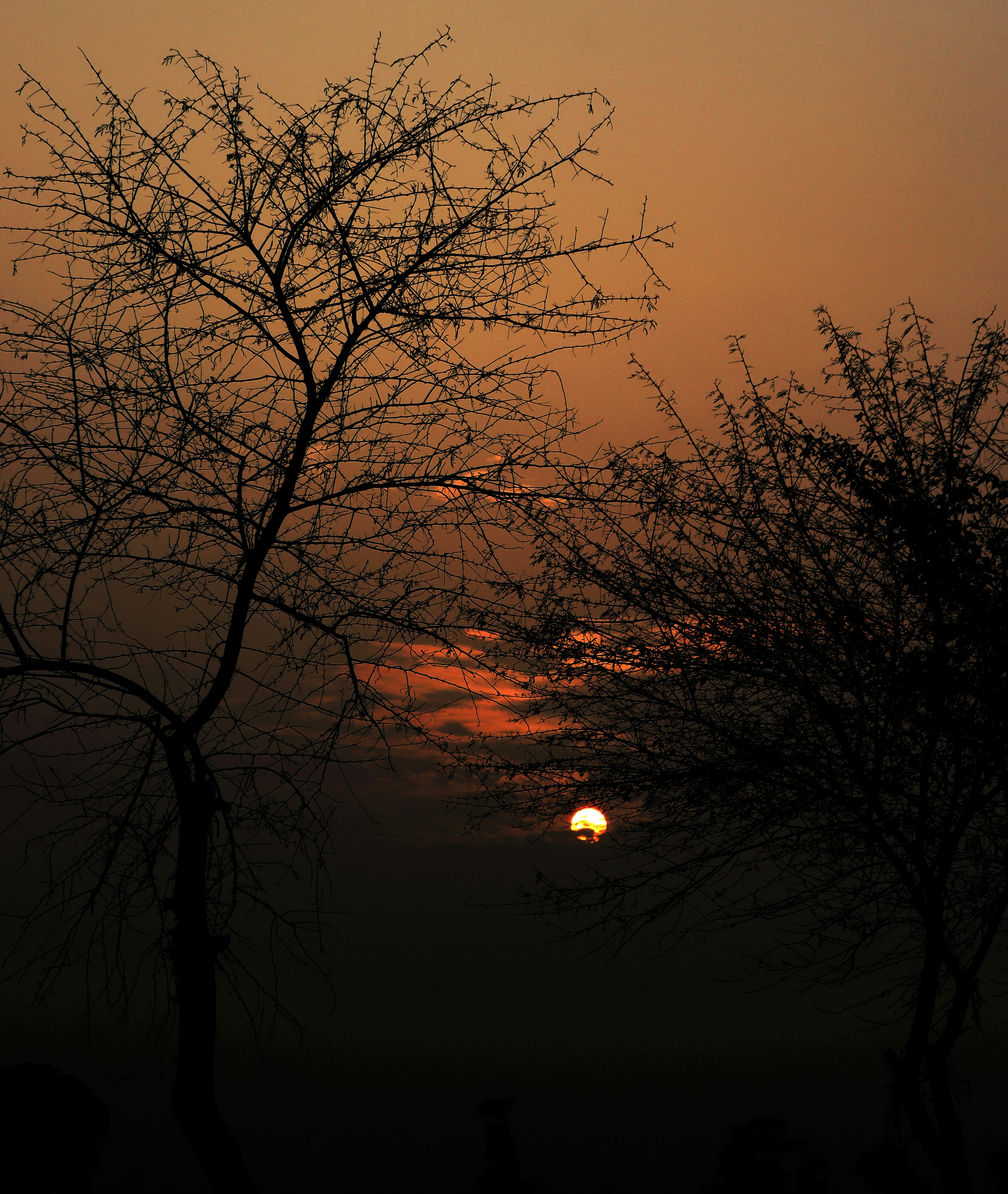 Photo by drphotographer152