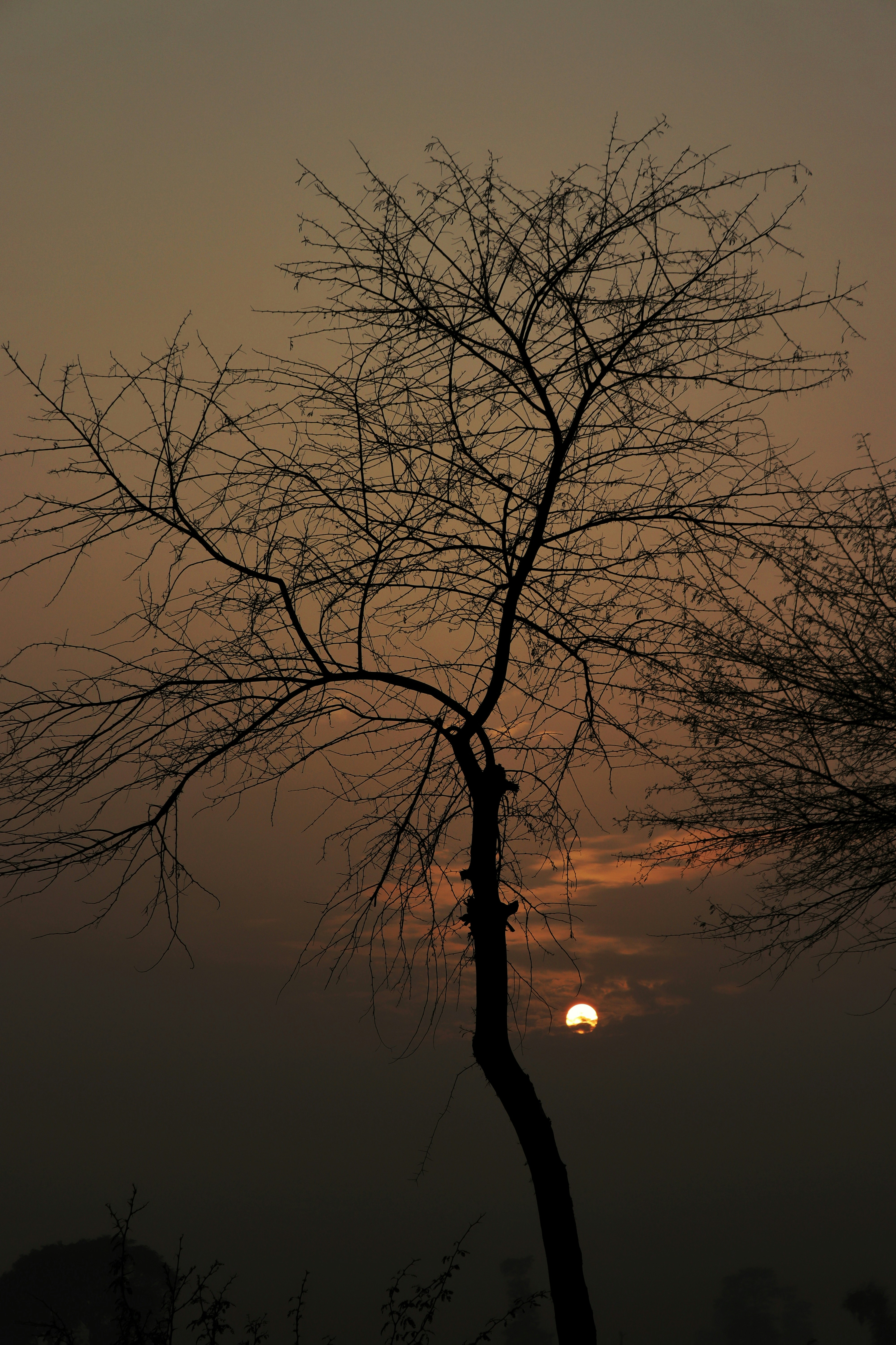 Photo by drphotographer152