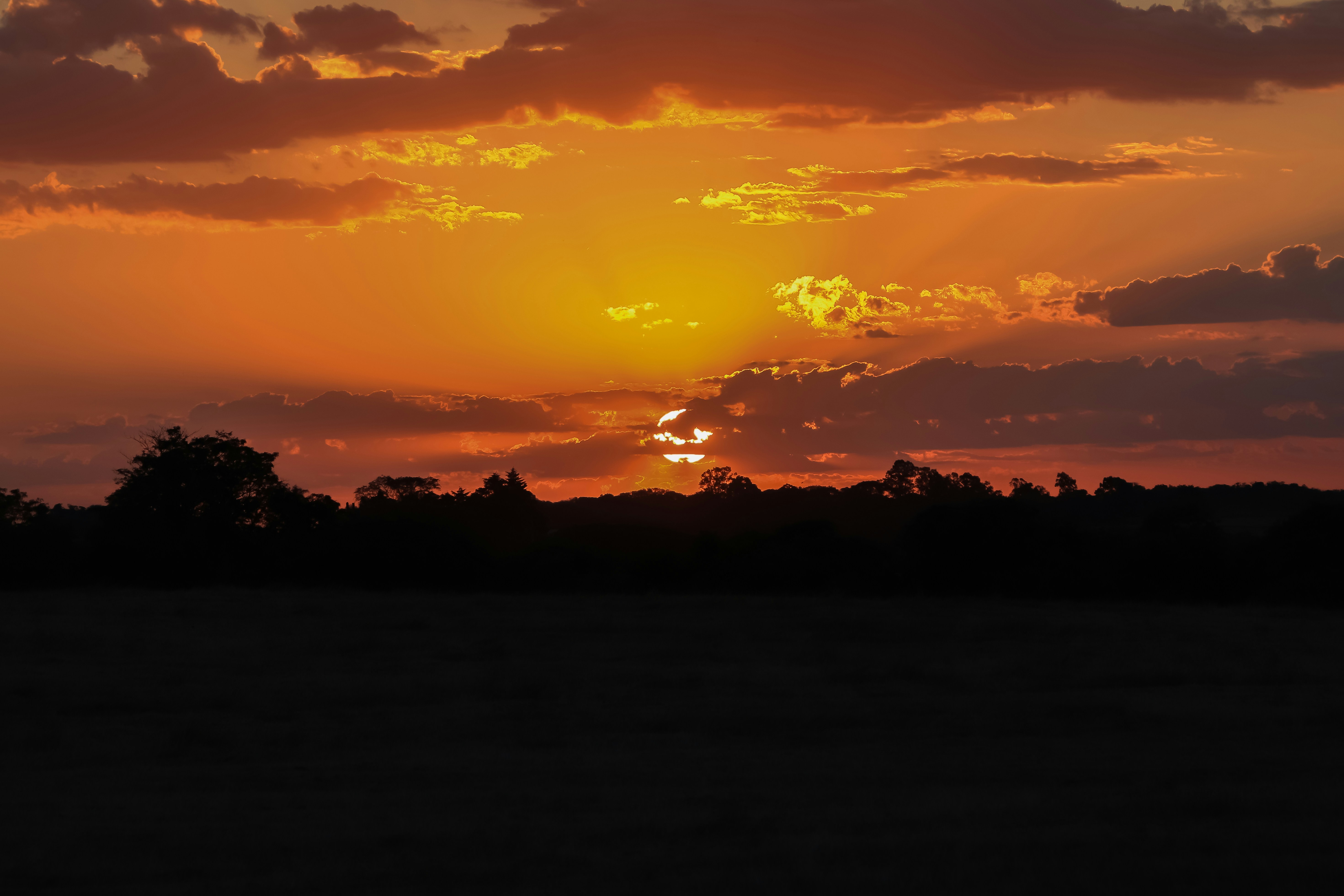 Photo by alexcaceres