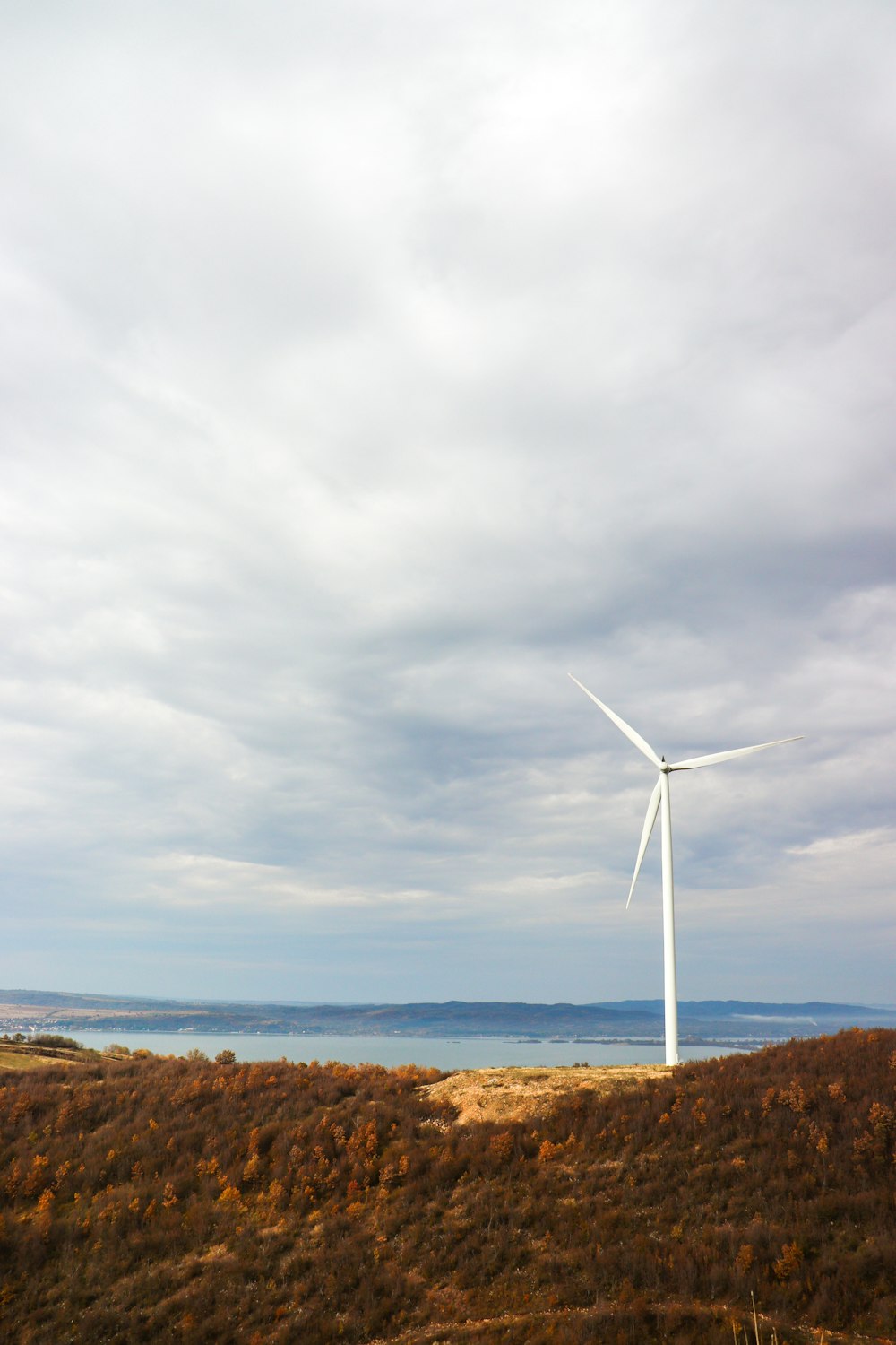 a wind turbine in the middle of a field