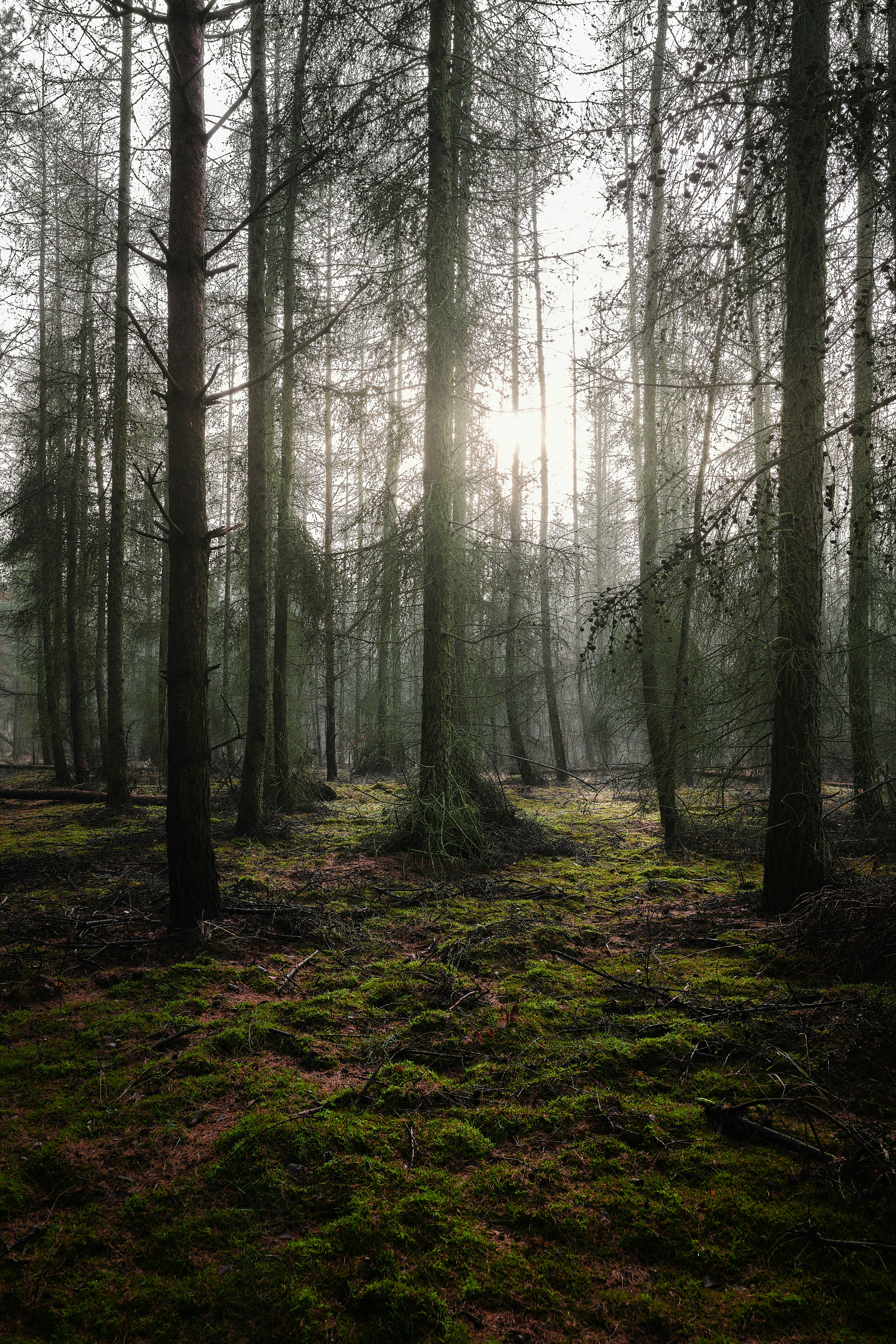 Photo by victor_vector