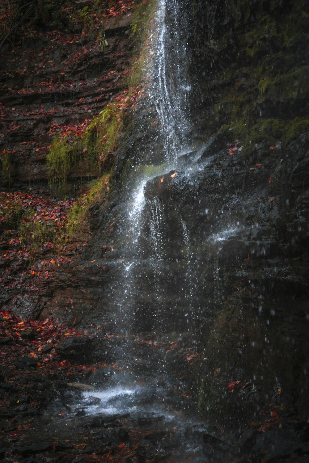 a waterfall in the middle of a forest