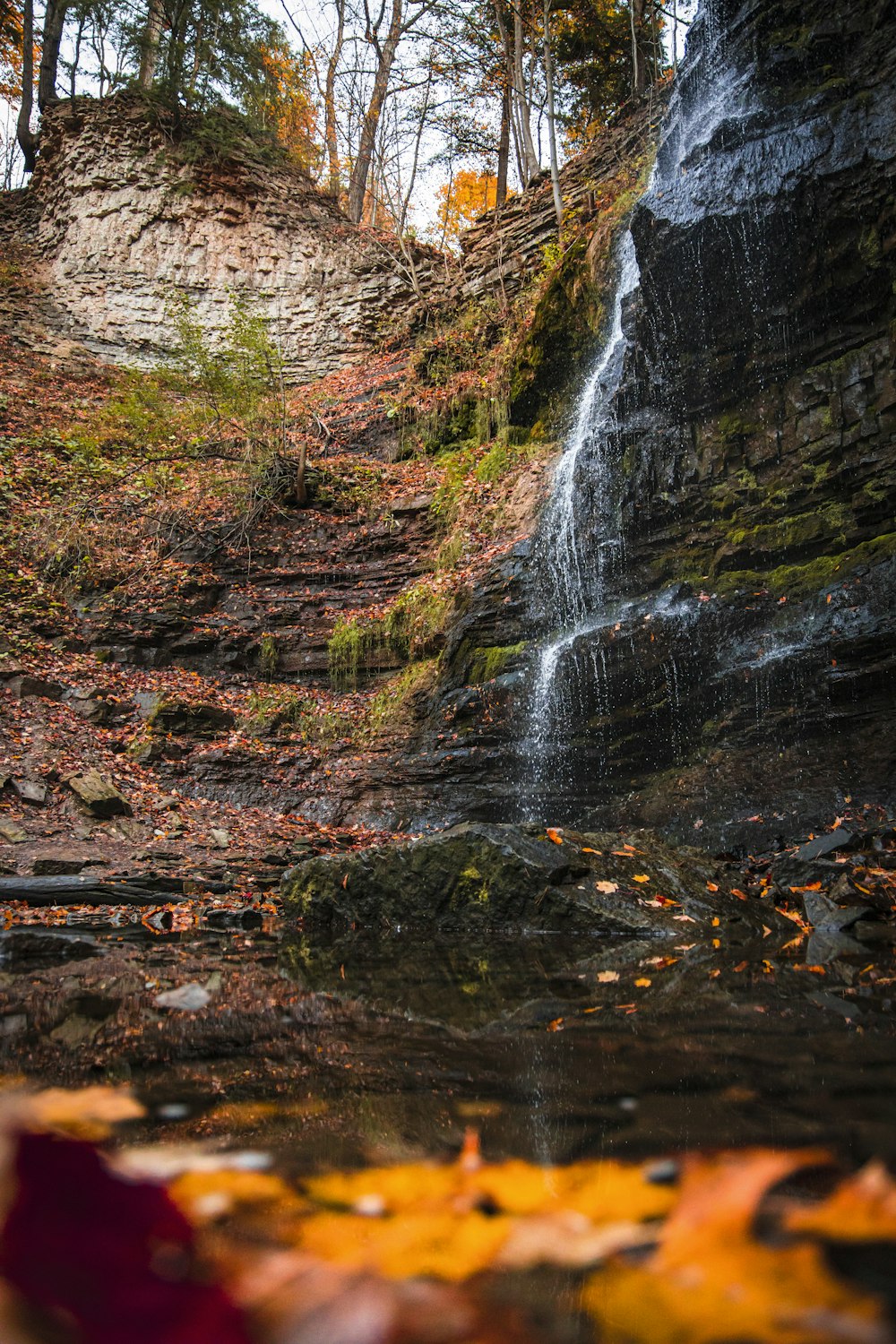 a waterfall in the woods with leaves on the ground