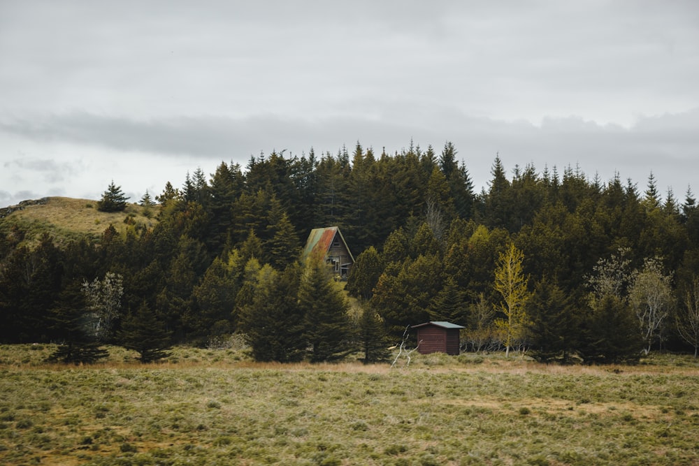 a house in the middle of a field surrounded by trees