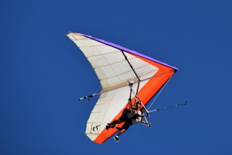 A tandem flight with instructor and passenger enjoying panoramic views.