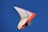 A hang glider with vibrant orange and purple accents soars against a clear blue sky. The pilot and a passenger are securely strapped in the harness, wearing helmets for safety.