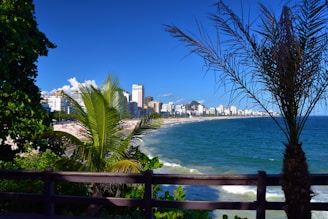 A scenic view of a beach with a vibrant blue ocean, bordered by a city skyline featuring tall buildings. The foreground includes tropical palm trees and lush greenery, framing the urban coastline.