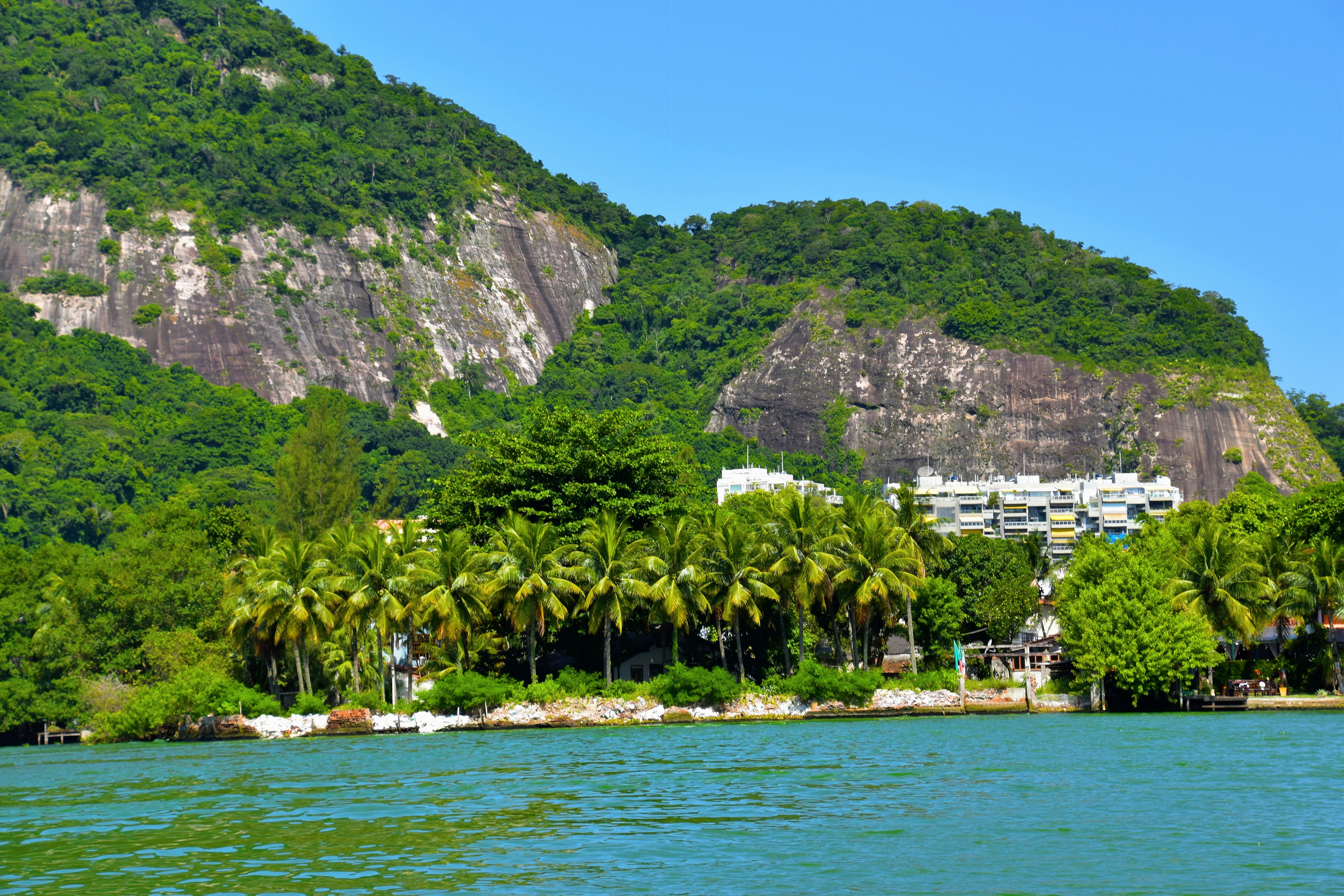 a large body of water surrounded by lush green trees