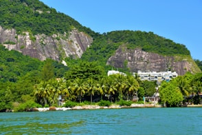 a large body of water surrounded by lush green trees