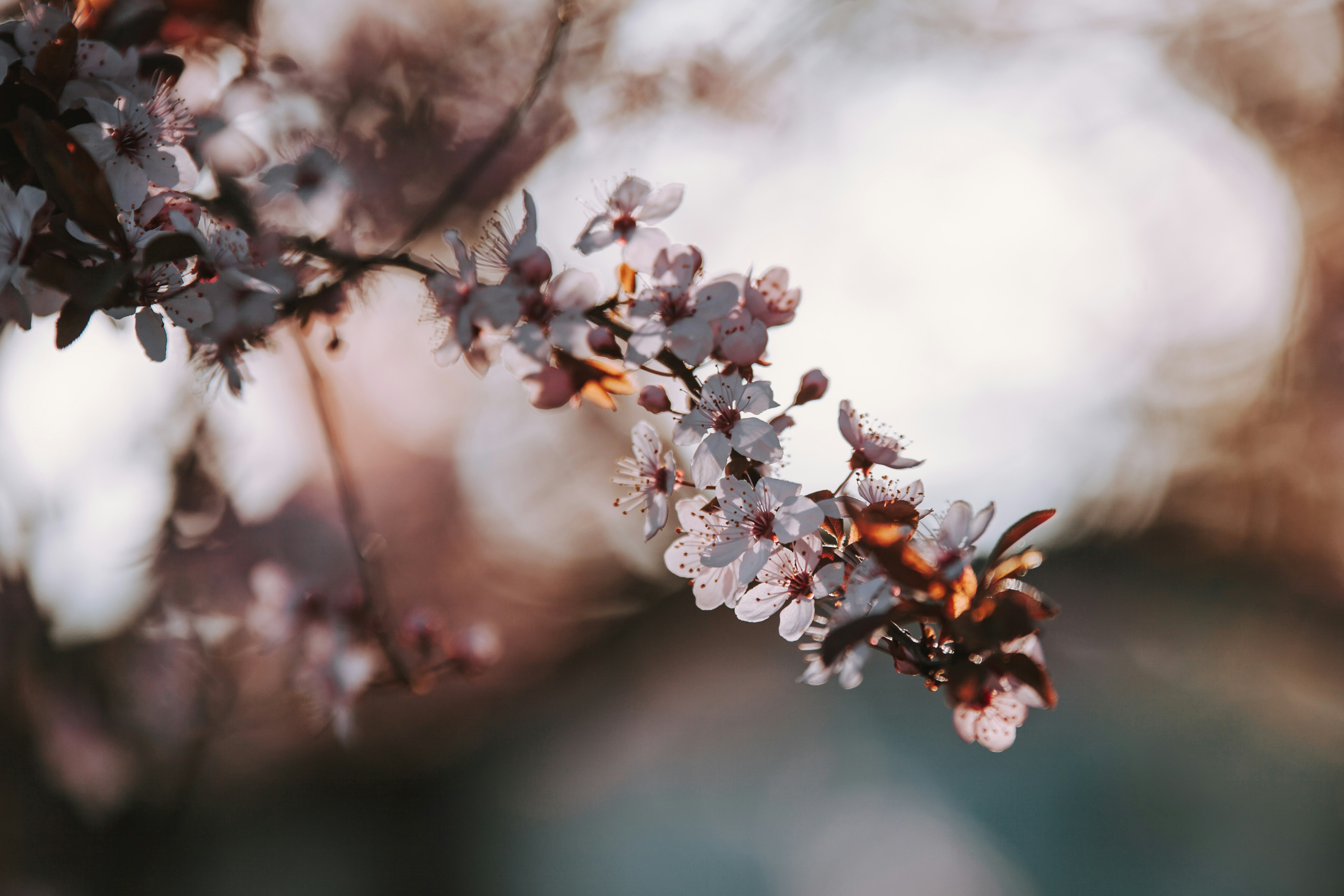 Photo by sylvester_s